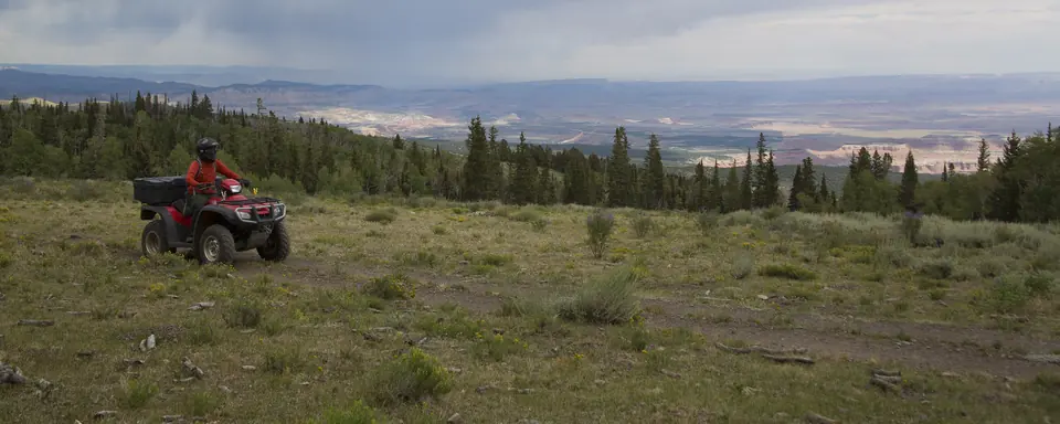 An ATV rider on a grassy two-track on the Great Western Trail in the Fishlake National Forest, Utah
