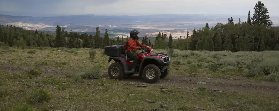 A rider on a red ATV on a grassy track on the Great Western Trail in the Fishlake National Forest, Utah