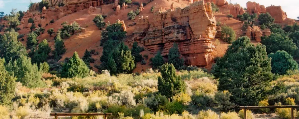 Red sandstone cliffs and pines at the mouth of Casto Canyon in Red Canyon, Dixie National Forest, Utah